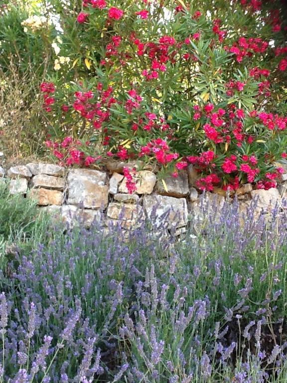 Bed and breakfast L'oustaou Piscine & 3*